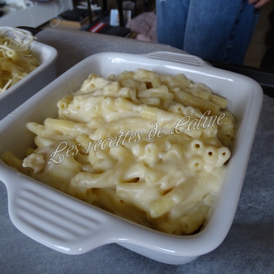 Gratin de pâtes au poulet et à la sauce béchamel20