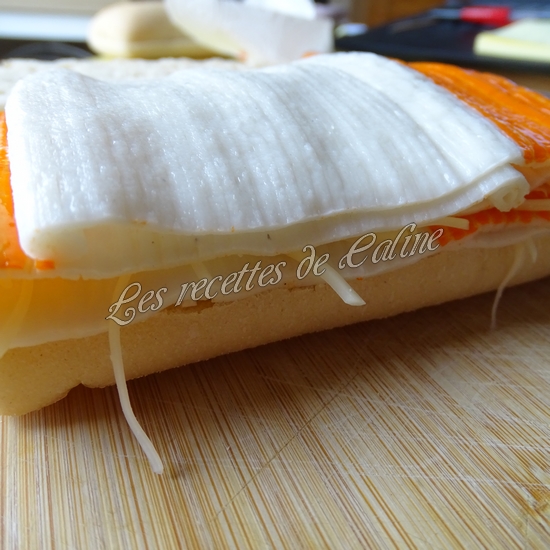 Panini façon suri croque12