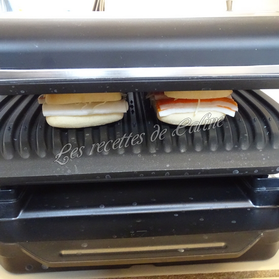 Panini façon suri croque16