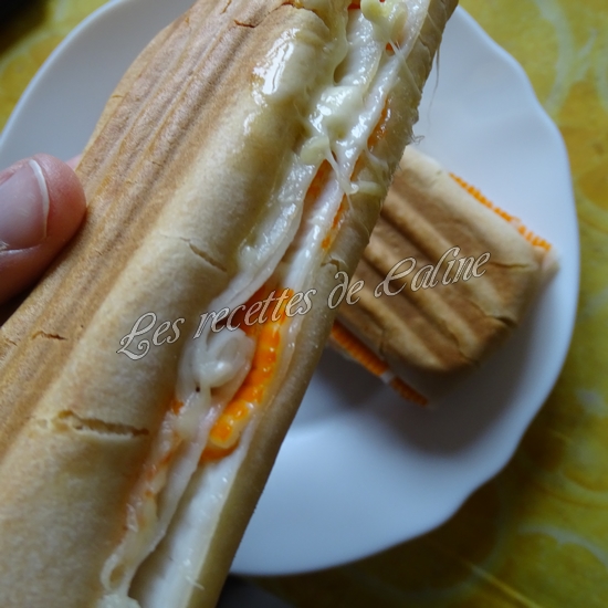 Panini façon suri croque19
