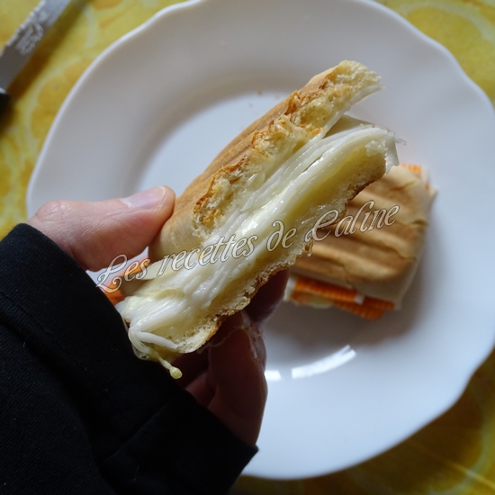 Panini façon suri croque21