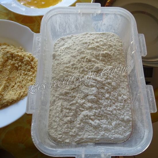 Poulet croustillant à la sauce tomate09