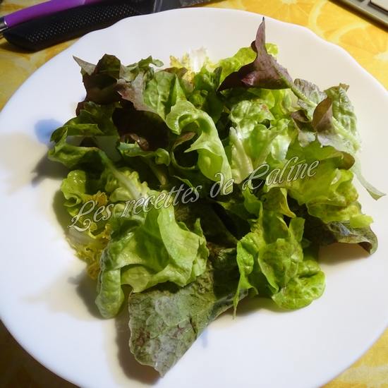 Salade de poulet rôti et emmental05