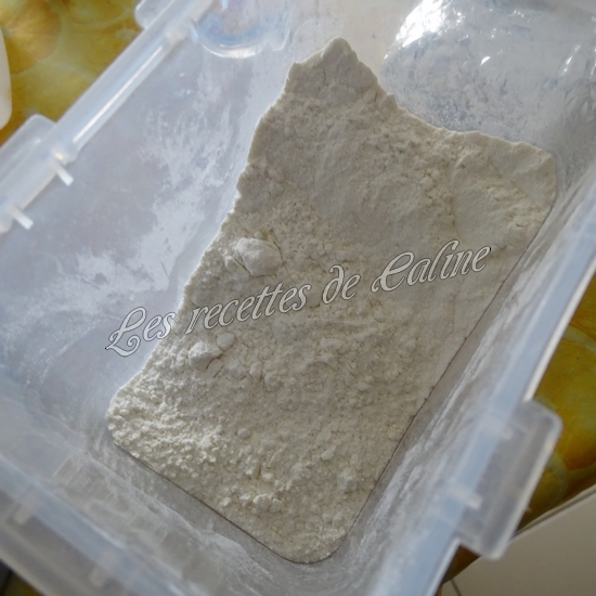 Brick aux crevettes04