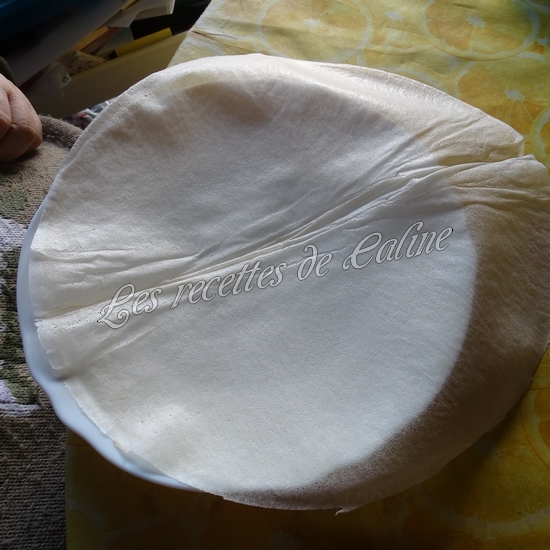 Brick aux crevettes16