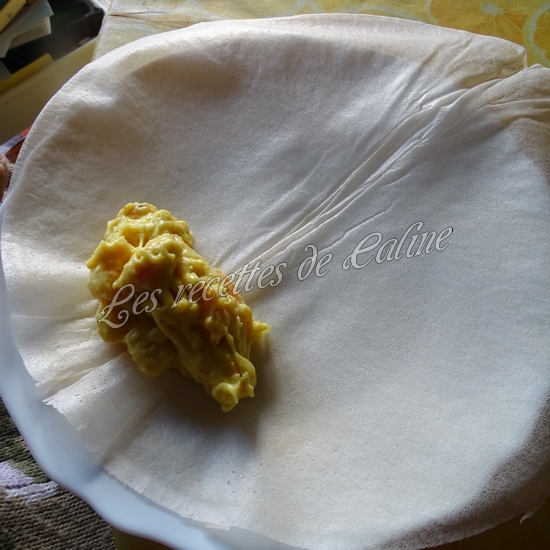 Brick aux crevettes17