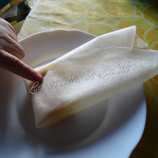 Brick aux crevettes20