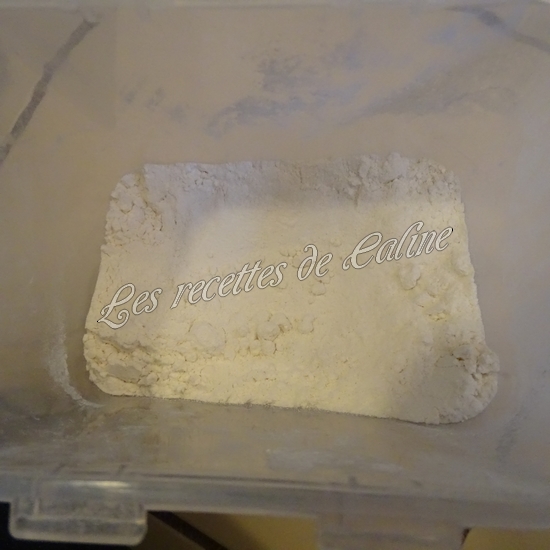 Gratin de gnocchis aux endives et jambon11