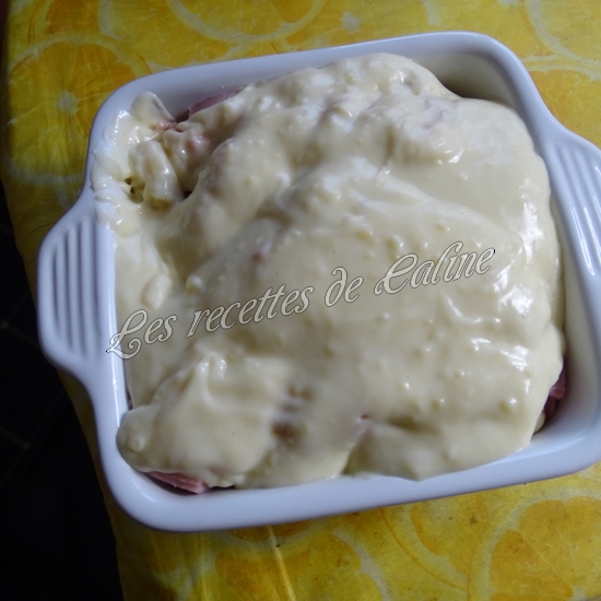 Gratin de gnocchis aux endives et jambon18