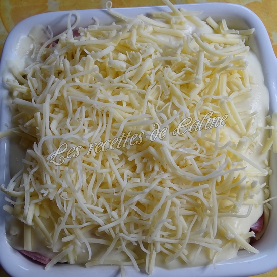 Gratin de gnocchis aux endives et jambon20