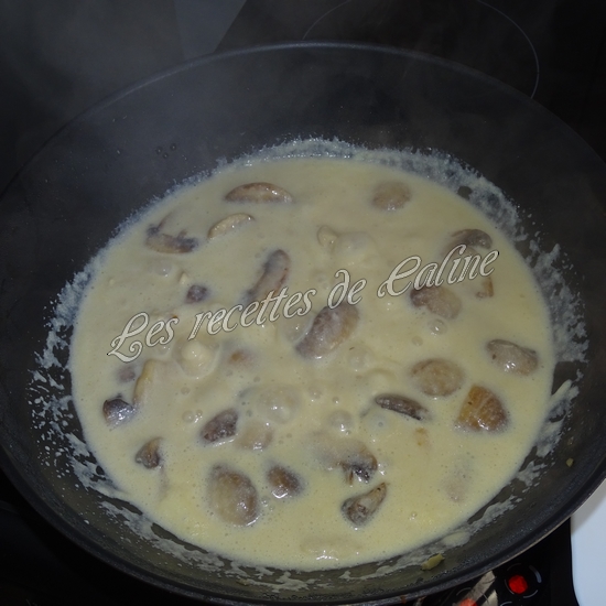 Macaroni aux champignons et au poulet16