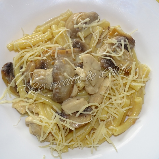 Macaroni aux champignons et au poulet22