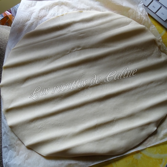 Tarte aux pommes et camembert02