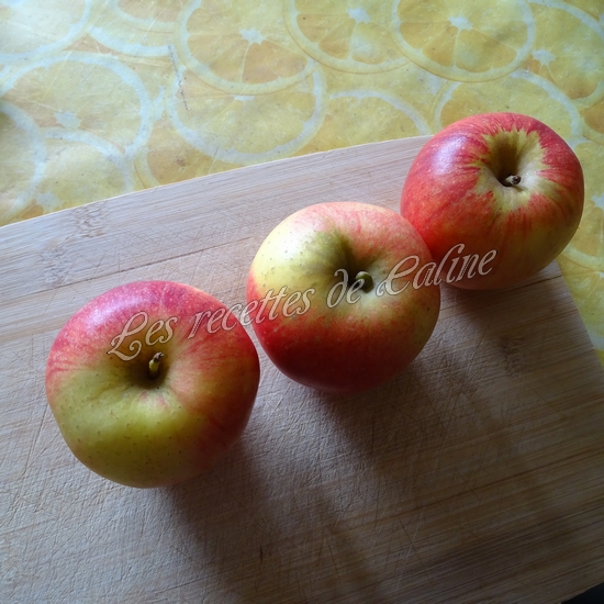 Tarte aux pommes et camembert03