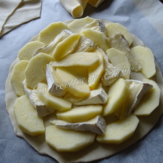 Tarte aux pommes et camembert08