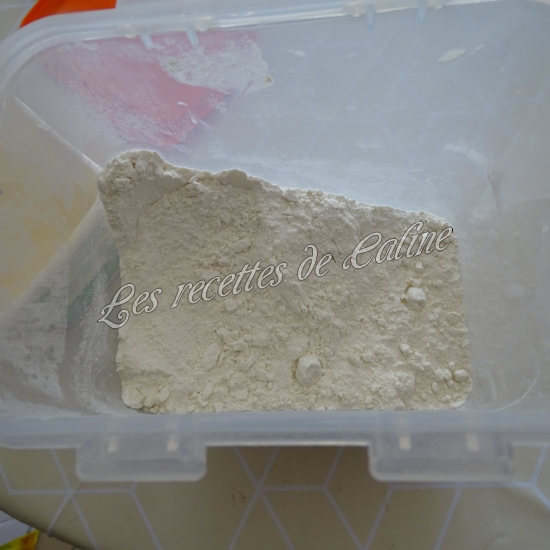 Gratin de surimi froid07