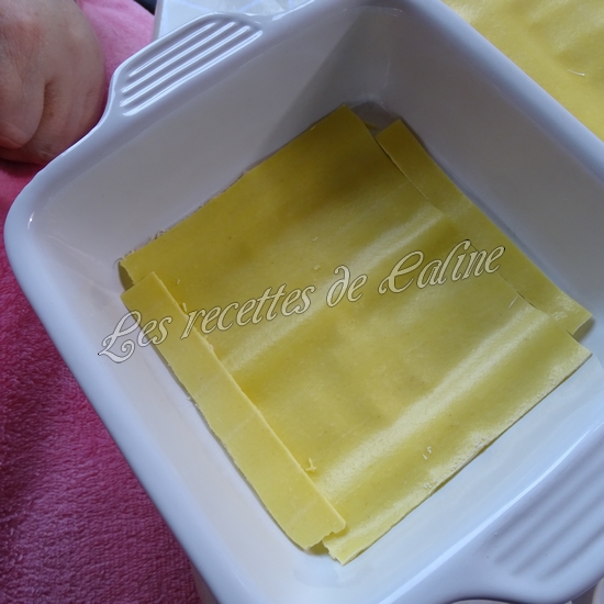 Lasagnes au poisson22