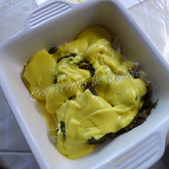 Lasagnes au poisson25