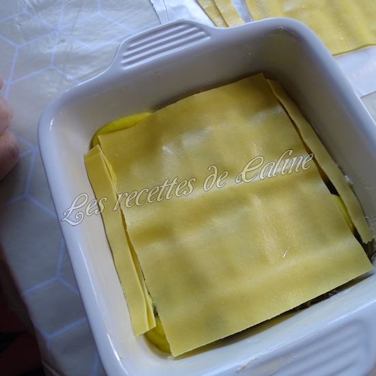 Lasagnes au poisson26