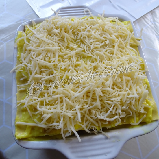 Lasagnes au poisson28