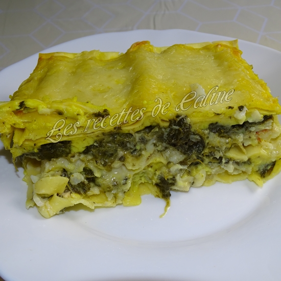 Lasagnes au poisson29