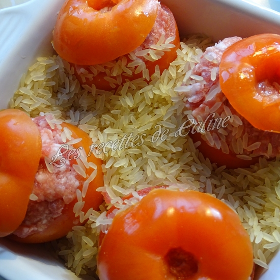 Tomates farcies08