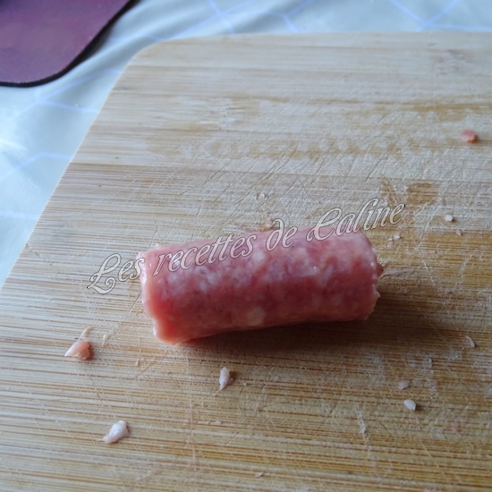 Coudes à la chipo02