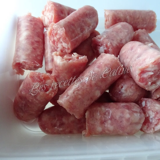 Coudes à la chipo03