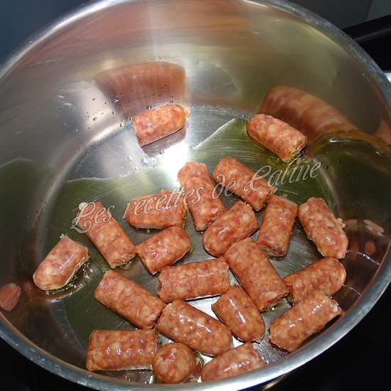 Coudes à la chipo05