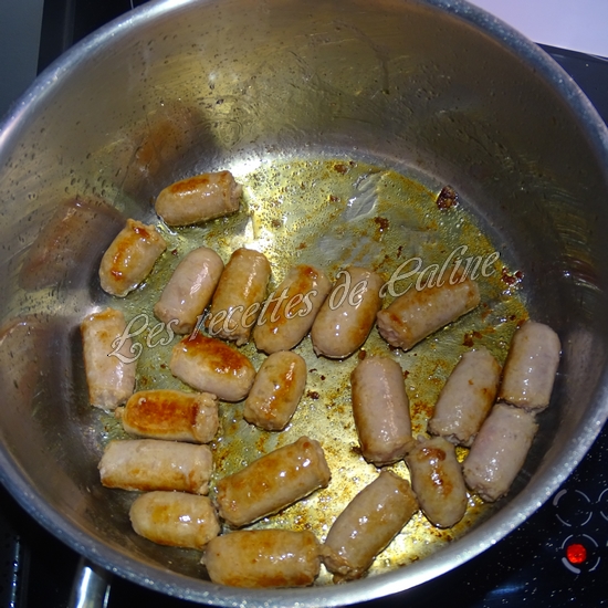 Coudes à la chipo06