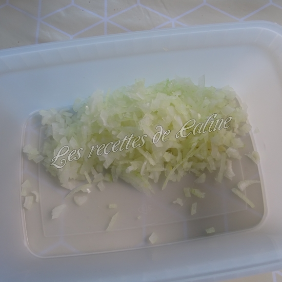 Coudes à la chipo08