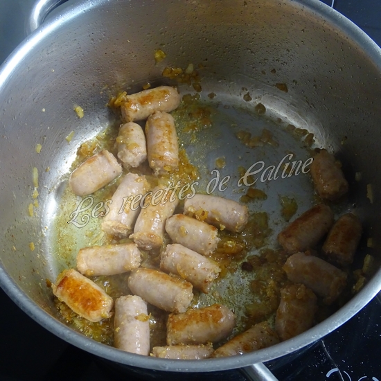 Coudes à la chipo13