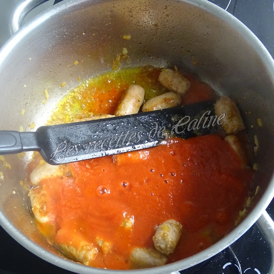 Coudes à la chipo15