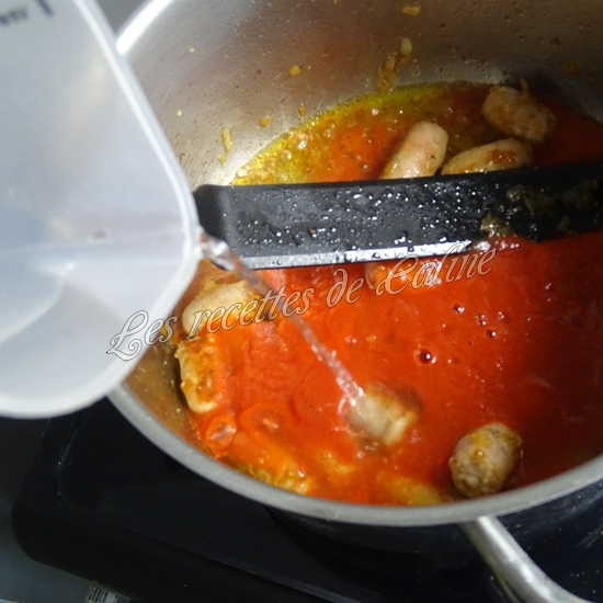 Coudes à la chipo16