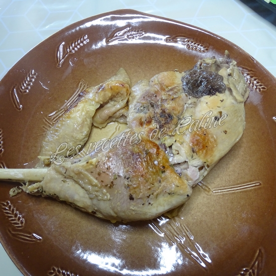 Cuisse de dinde forestière15