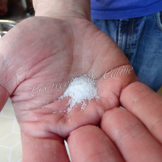 Flammekueche à ma façon07