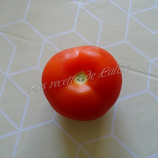 Panini aux deux jambon08