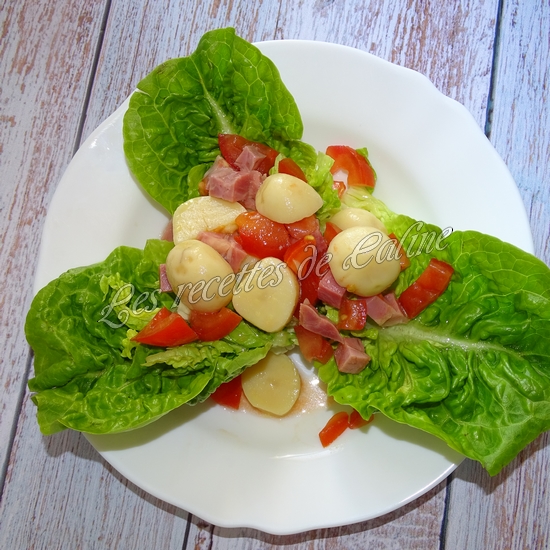 Salade de pommes de terre, tomates et jambonneau09