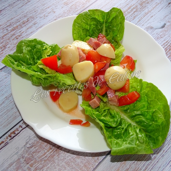Salade de pommes de terre, tomates et jambonneau10