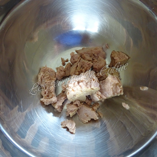 Sandwich Oopsie au thon01