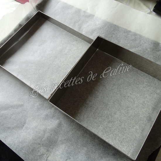 Sandwich Oopsie au thon05