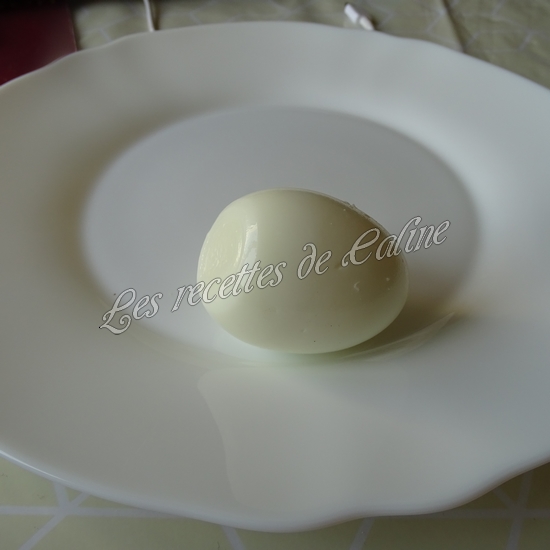 Sandwich Oopsie au thon10