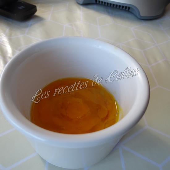 Terrine de poisson10