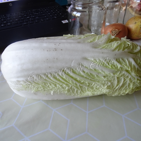 Riz au poulet et petits légumes en bocal02