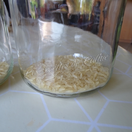 Riz au poulet et petits légumes en bocal11