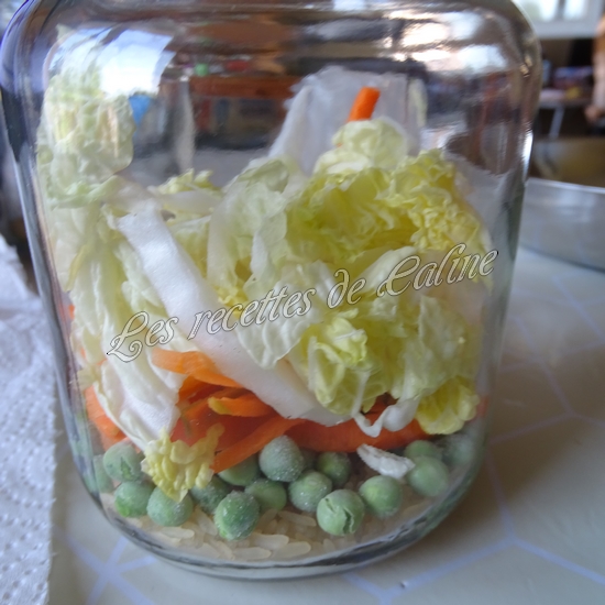 Riz au poulet et petits légumes en bocal15