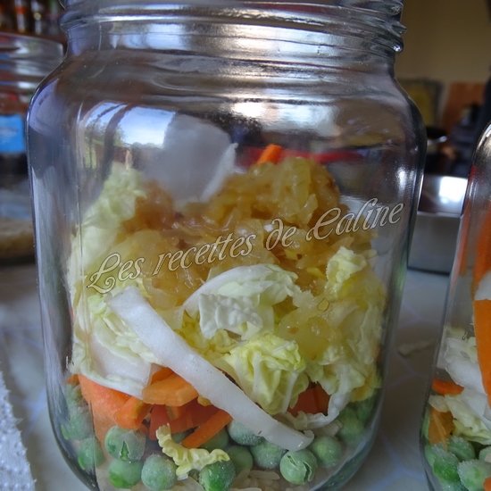 Riz au poulet et petits légumes en bocal17