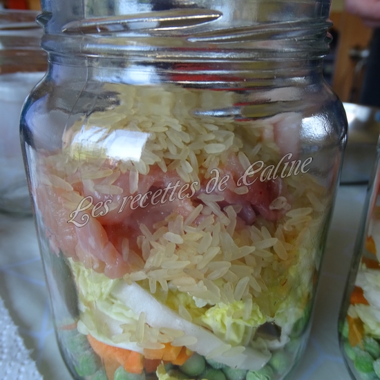 Riz au poulet et petits légumes en bocal19