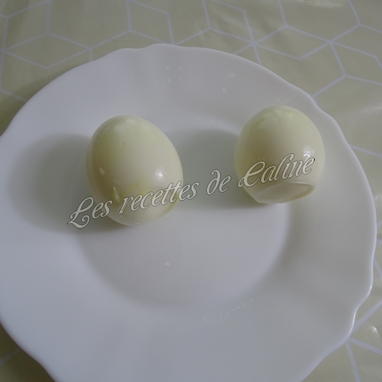 Salade de tomates, thon et oeufs05