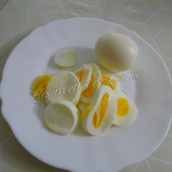 Salade de tomates, thon et oeufs06